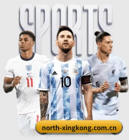 星空官网围绕看球场景设计的核心服务 - xingkong FIFA WorldCup