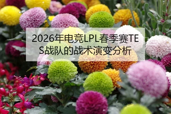 2026年电竞LPL春季赛TES战队的战术演变分析 | xingkong FIFA WorldCup